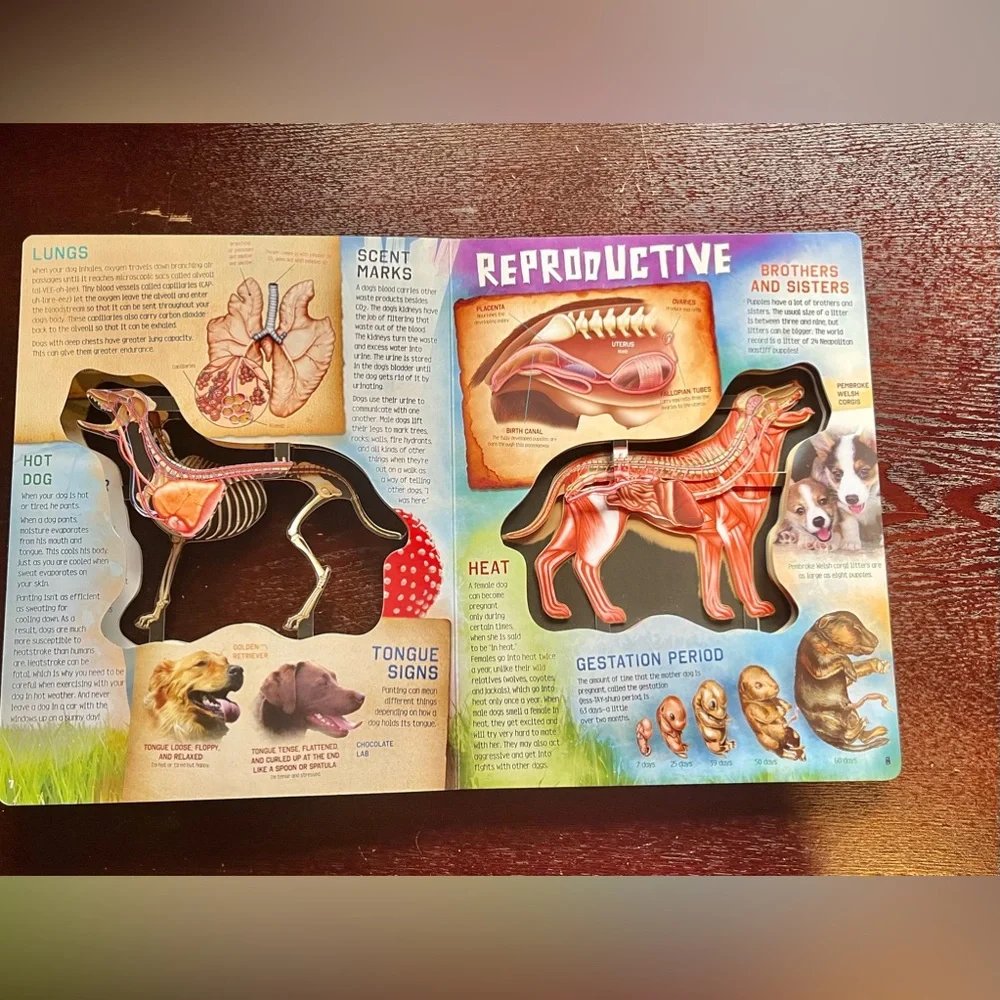 PETS BOOKS (2) - 